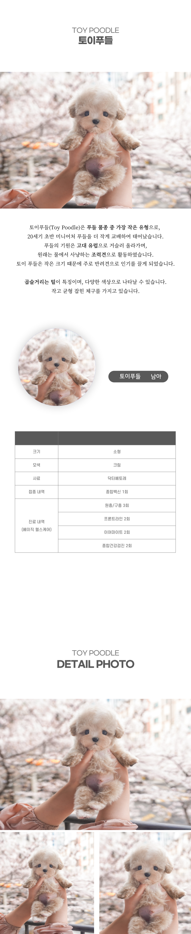 토이푸들_상세이미지_2